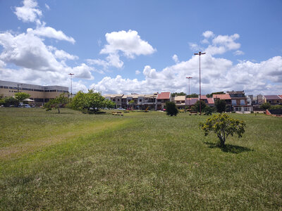 IMG_20220208_113341496