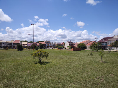 IMG_20220208_113345566