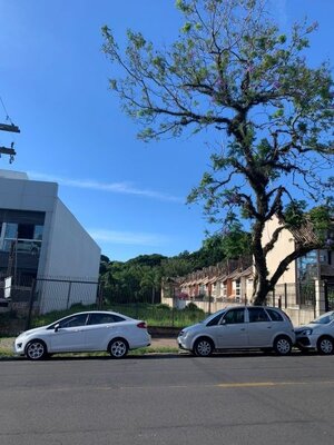 Terreno Otto Niemeyer, 1236